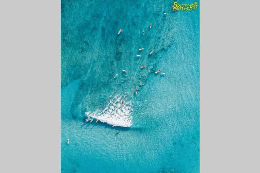 B-Rent Bristol Beach Surf & Fun コラレホ エクステリア 写真